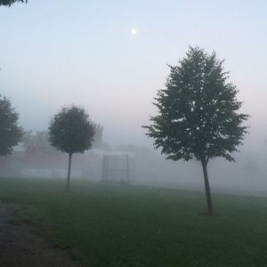 Meet your Posher, Ella